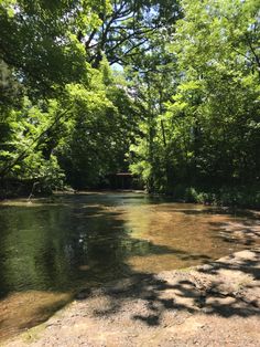 a river running through a lush green forest