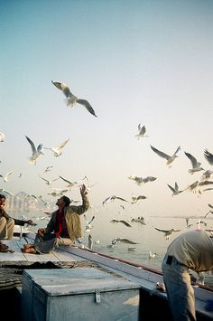 two men on a boat feeding seagulls