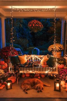 a dog is sleeping on a porch swing surrounded by pumpkins and other fall decorations