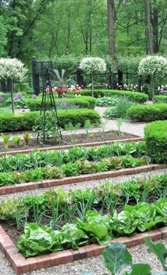 a garden filled with lots of different types of plants and trees in the middle of it