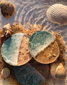 several seashells and sea shells on the sand