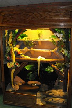 a display case with plants and rocks in the bottom half, on top of it