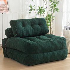 a green couch sitting on top of a wooden floor next to a potted plant