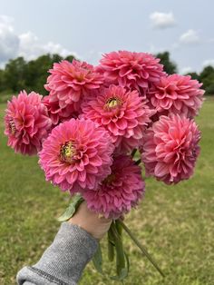 a person's hand holding pink flowers in front of green grass and blue sky