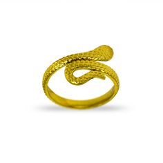 Anillo Cobra con forma de serpiente | Anillos de acero inoxidable Ring Size Guide, Stainless Steel Rings, Steel Ring, The Gold, Jewelry Trends, Quality Jewelry, Online Jewelry, Rose Gold Ring, Silver Gold