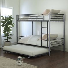 a metal bunk bed sitting on top of a hard wood floor next to a potted plant