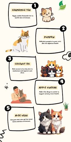 an info sheet with cats and kittens on it, including the names of each animal