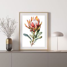 an art print of a proteacus flower on a shelf next to a lamp