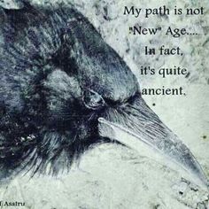 a close up of a black bird with a poem on it's face and the words my path is not new age in fact, it's quite ancient