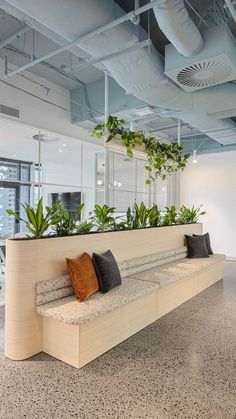 a couch with plants on it in an office