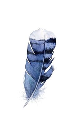 a blue and white feather on a white background