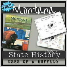 the montana state history uses of a buffalo