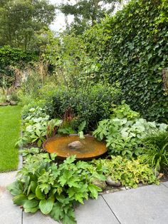 a garden filled with lots of plants next to a lush green lawn and shrubbery