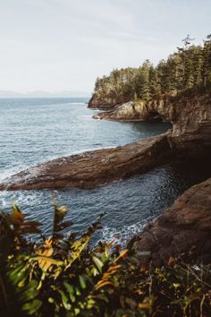 the ocean is surrounded by rocky cliffs and trees