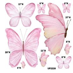 pink butterflies are shown with measurements for each one's wing and two's wings