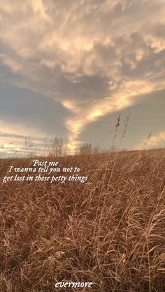 a field with tall grass under a cloudy sky