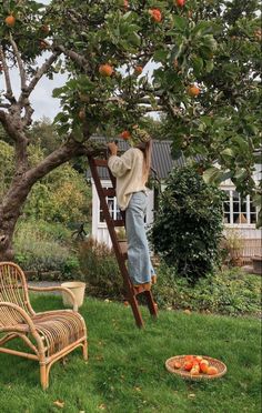 a woman standing on a ladder reaching up to an apple tree with oranges in the foreground