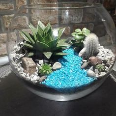 a glass bowl filled with rocks and plants