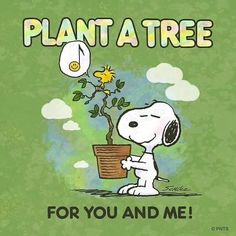 a cartoon character holding a potted plant with the words plant a tree for you and me