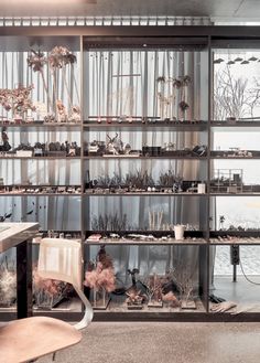 a room filled with lots of plants next to a wall covered in glass doors and shelves