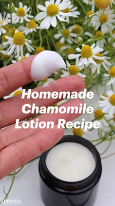 Chamomile Lotion, Lotion Recipe, Infused Oil, Diy Skin Care Recipes, Homemade Lotion, Chamomile Essential Oil, Skin Lotion, Infused Oils, Apricot Kernels