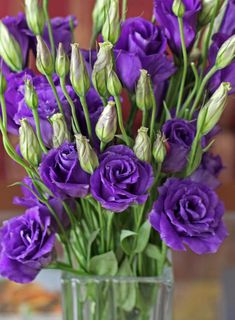 purple flowers are in a clear vase on a table top, with green leaves and stems