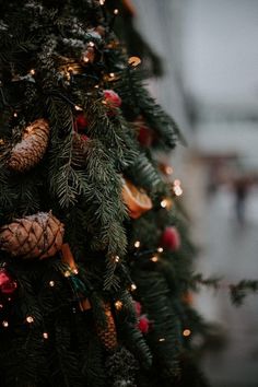 a close up of a christmas tree with pine cones and oranges hanging from it