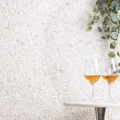 two glasses of wine sitting on a table next to a potted plant with green leaves