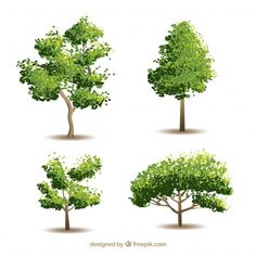 four different types of trees with green leaves and branches, all in the same shape