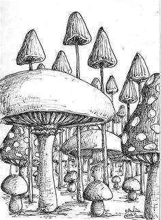 a black and white drawing of mushrooms in the woods