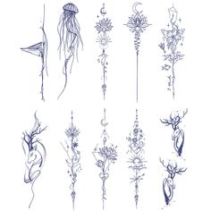 some drawings of flowers and plants on a white background