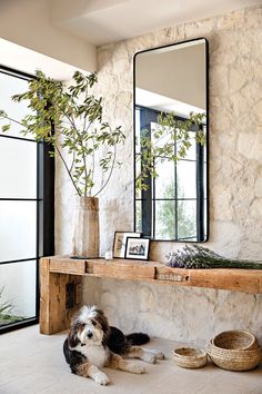 a dog laying on the floor in front of a stone wall with mirrors above it