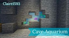 the cave aquarium in minecraft is empty and ready to be used as a game