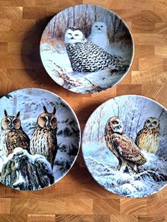 three plates with owls painted on them sitting on a wooden table next to each other