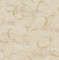 an old wallpaper with vines and scrolls on the bottom half of it, in beige