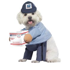 a white dog wearing a blue shirt and hat holding a box of tissues in it's paws