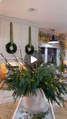 a large potted plant sitting on top of a counter