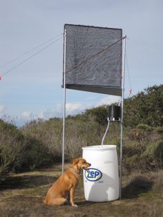 a brown dog sitting next to a large white bucket on top of a grass covered field