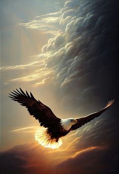 an eagle flying through the sky with clouds in the background