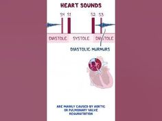 the label for heart sounds is shown in red and pink colors with an arrow pointing to it