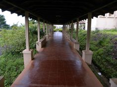 an empty covered walkway in the middle of some trees and bushes, with no people on it