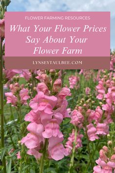 A field of pink snapdragons Pick Your Own Flowers Farms, Flower Pricing, Cut Flower Business, Farm Planning, Field Garden, Roadside Stand, Flower Farms, Market Flowers, Garden Rocks