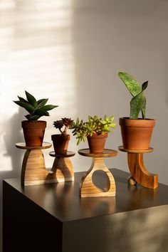 three wooden planters sitting on top of a black table next to a potted plant