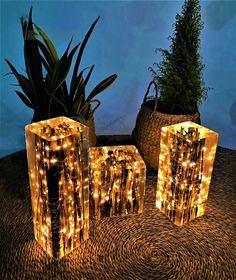 three lighted boxes sitting on top of a table next to a potted plant and basket