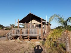 a small wooden cabin sitting in the middle of a dry grass field next to a palm tree