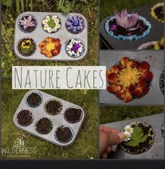 there are pictures of different cakes with flowers in them and the words nature cakes above it