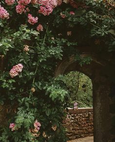 pink flowers growing on the side of a stone wall next to a brick arch in a garden