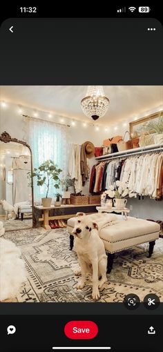 a dog sitting in front of a mirror next to a bed and dresser with clothes on it