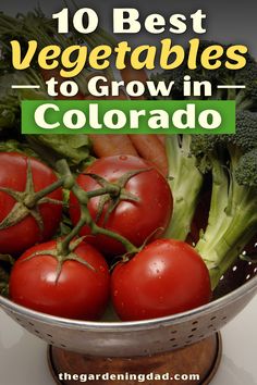 tomatoes and broccoli in a colander with the title 10 best vegetables to grow in colorado