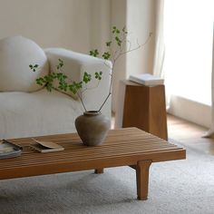 a living room with a coffee table, couch and plant in the centerpieces